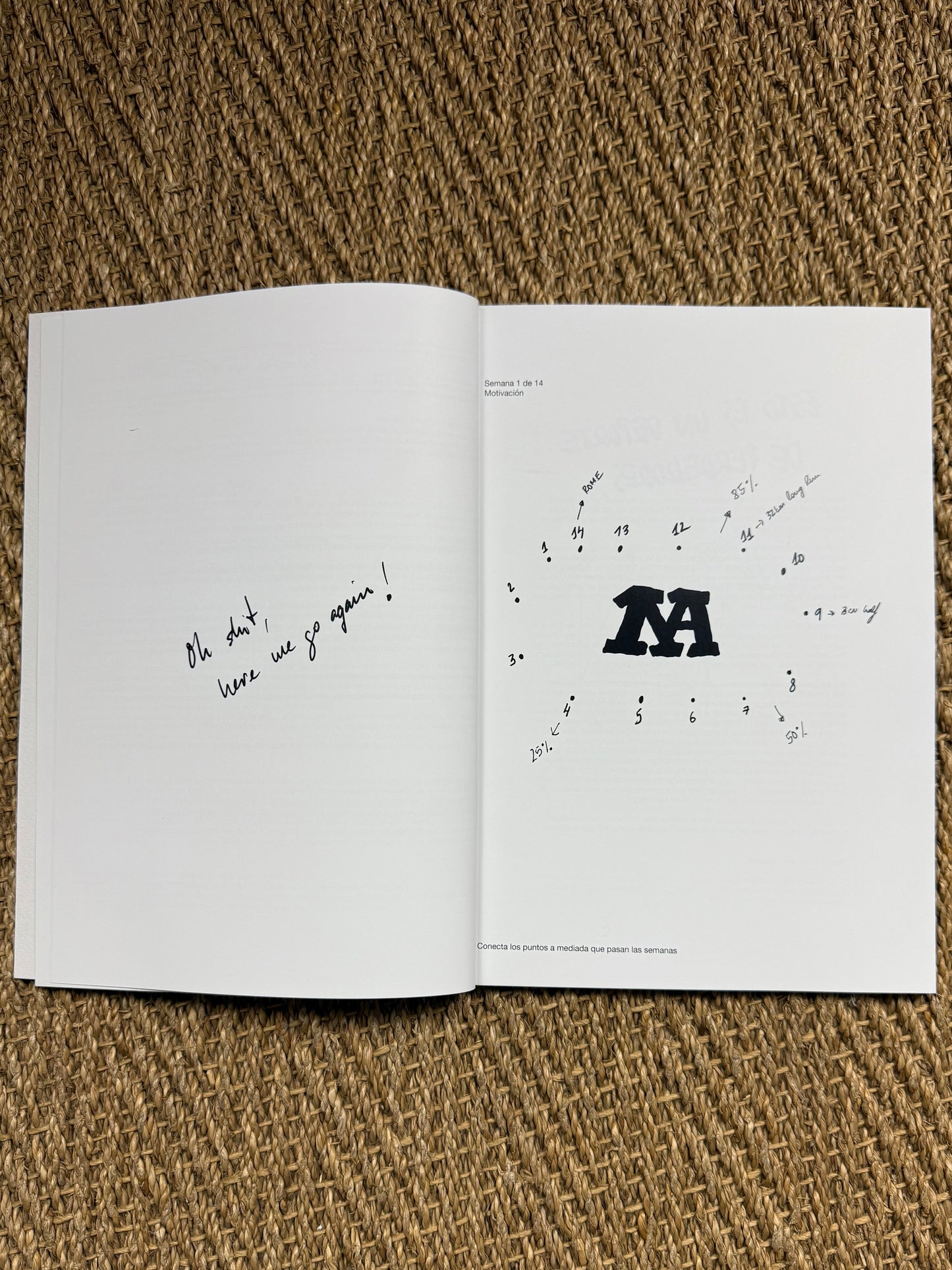 OFFLINE "ROME" TRAINING PLAN